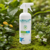 AURALIS BIO